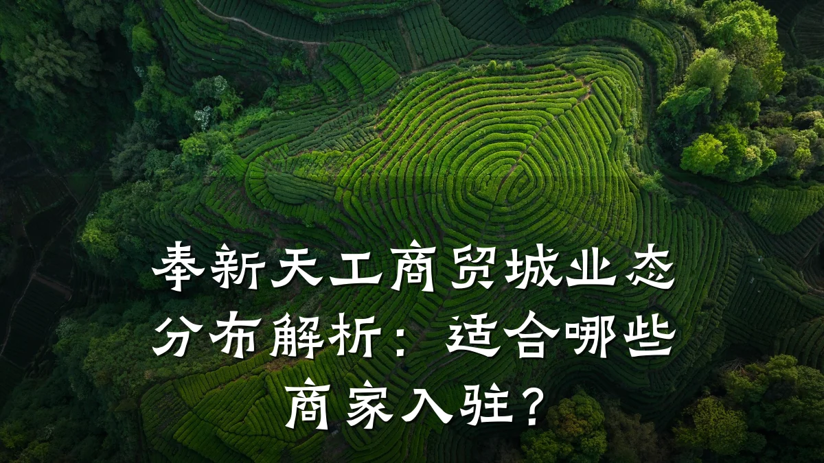 奉新天工商贸城业态分布解析:适合哪些商家入驻?