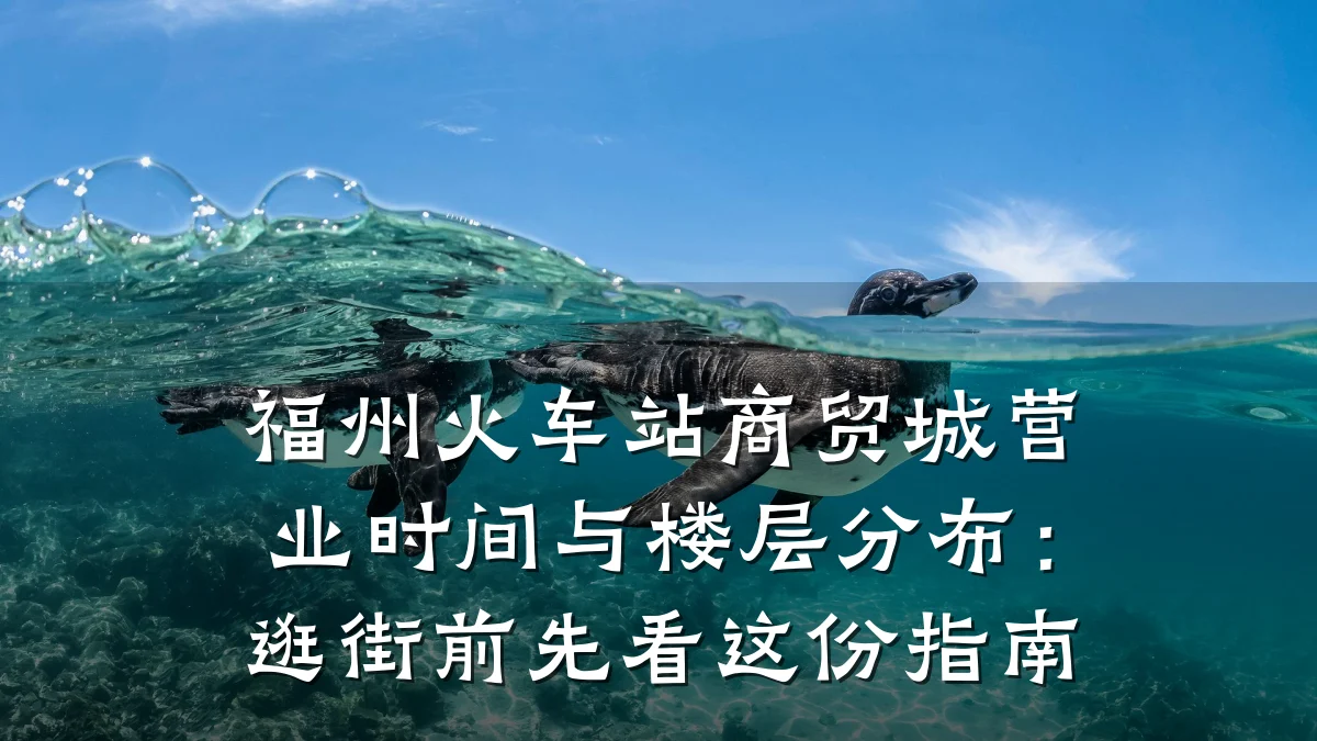 福州火车站商贸城营业时间与楼层分布：逛街前先看这份指南