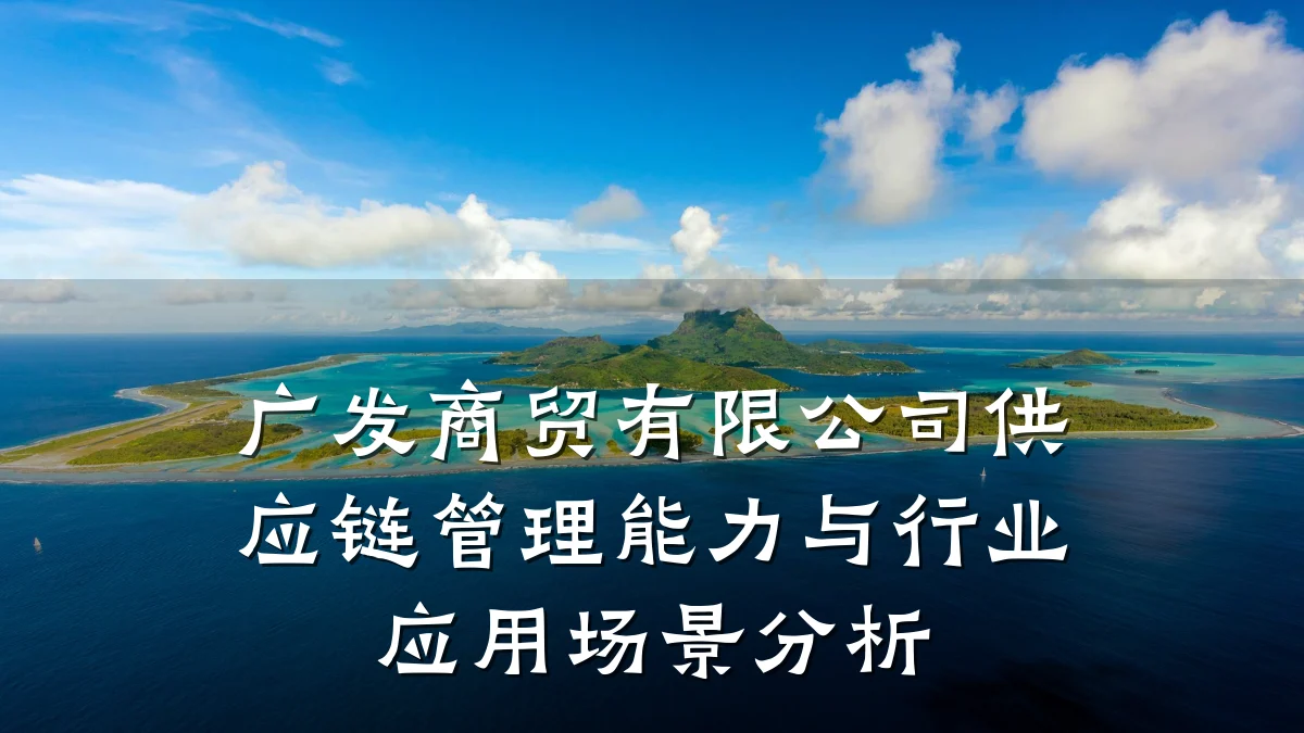 广发商贸有限公司供应链管理能力与行业应用场景分析