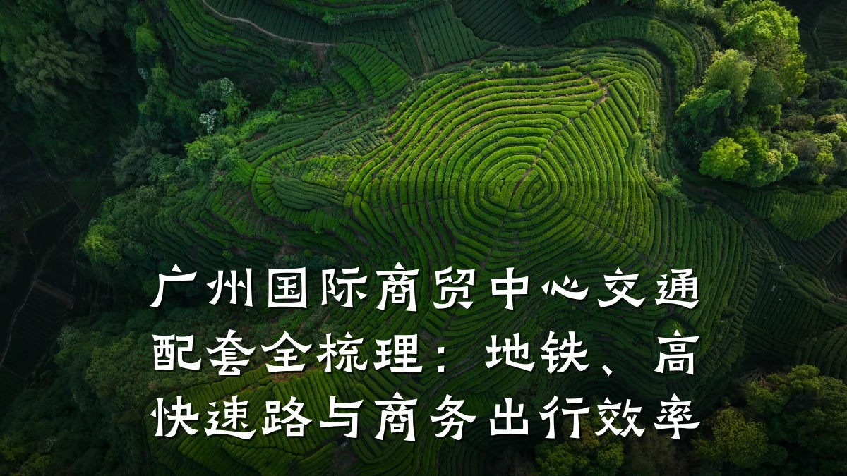 广州国际商贸中心交通配套全梳理:地铁、高快速路与商务出行效率