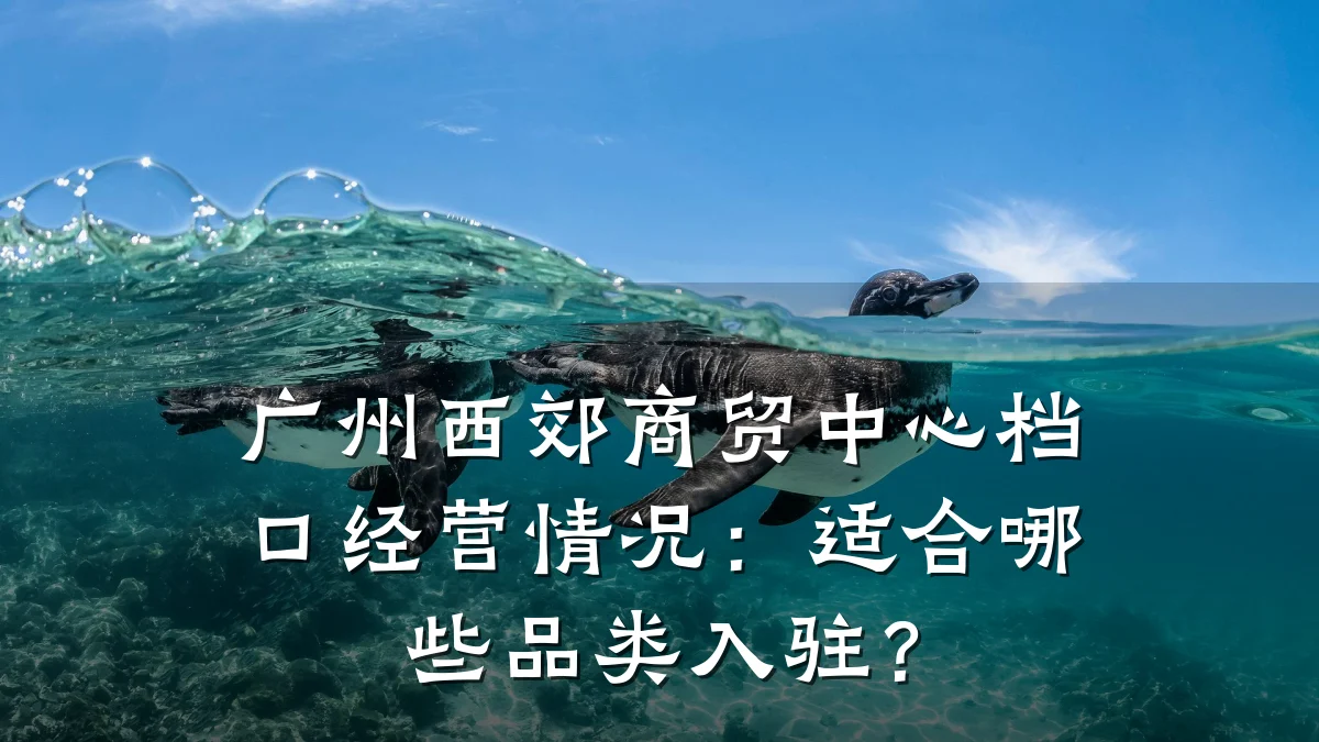 广州西郊商贸中心档口经营情况:适合哪些品类入驻?