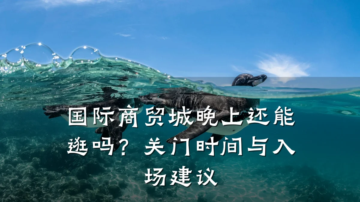 国际商贸城晚上还能逛吗？关门时间与入场建议