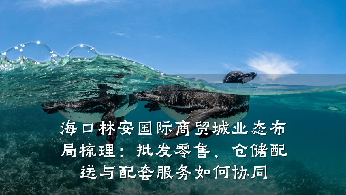 海口林安国际商贸城业态布局梳理:批发零售、仓储配送与配套服务如何协同