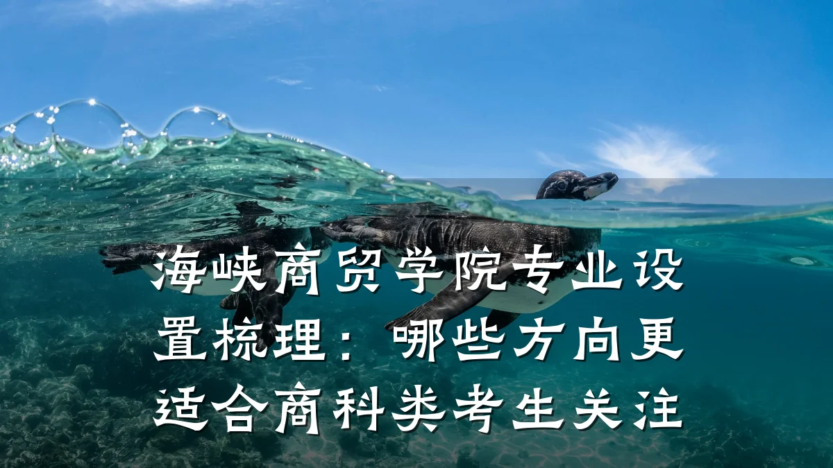 海峡商贸学院专业设置梳理:哪些方向更适合商科类考生关注