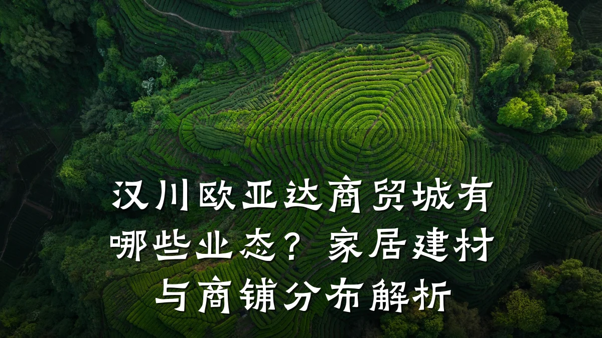 汉川欧亚达商贸城有哪些业态？家居建材与商铺分布解析