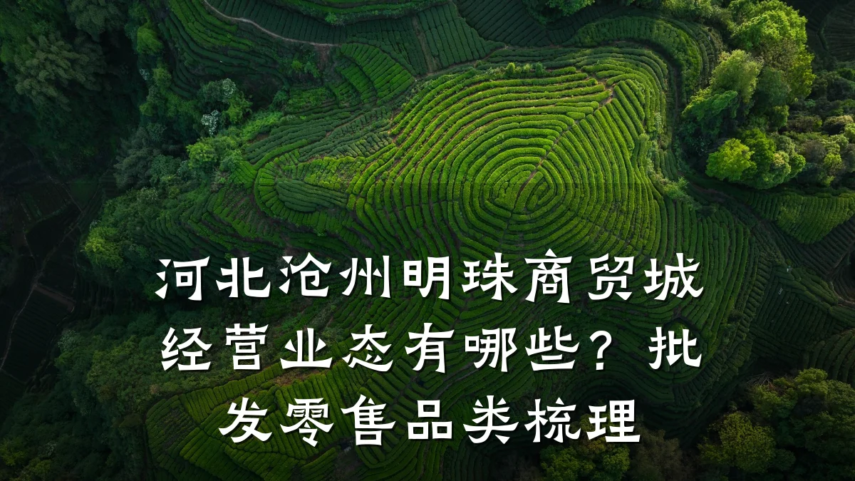 河北沧州明珠商贸城经营业态有哪些?批发零售品类梳理