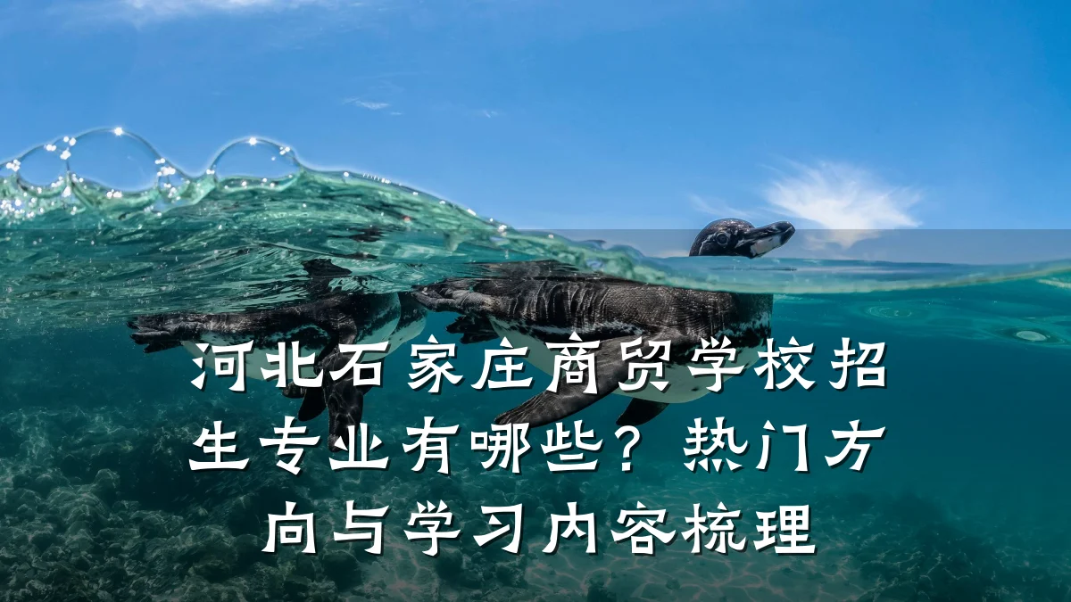 河北石家庄商贸学校招生专业有哪些?热门方向与学习内容梳理