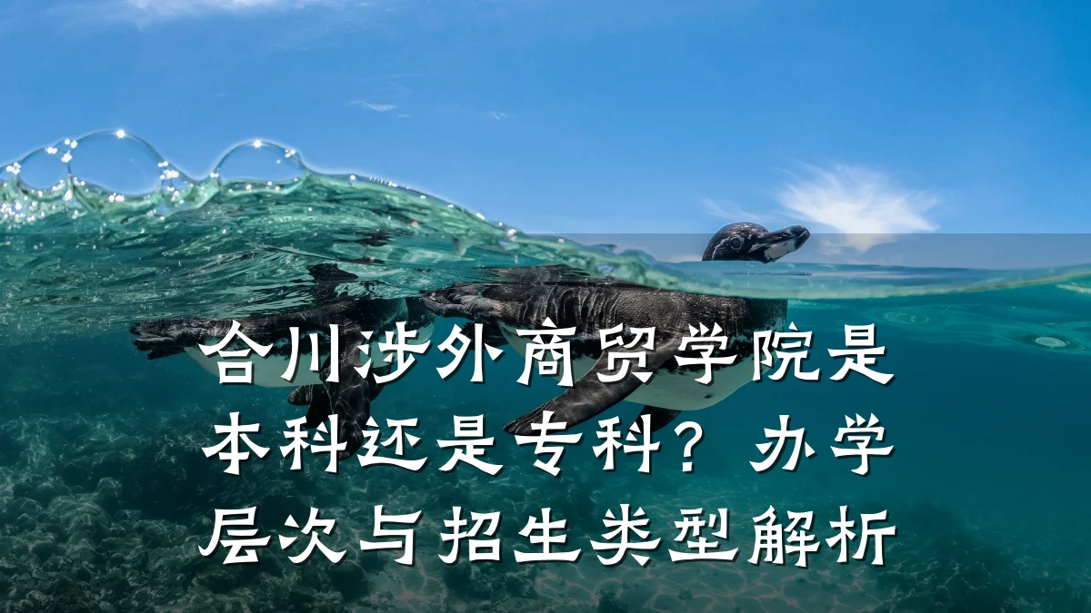 合川涉外商贸学院是本科还是专科？办学层次与招生类型解析