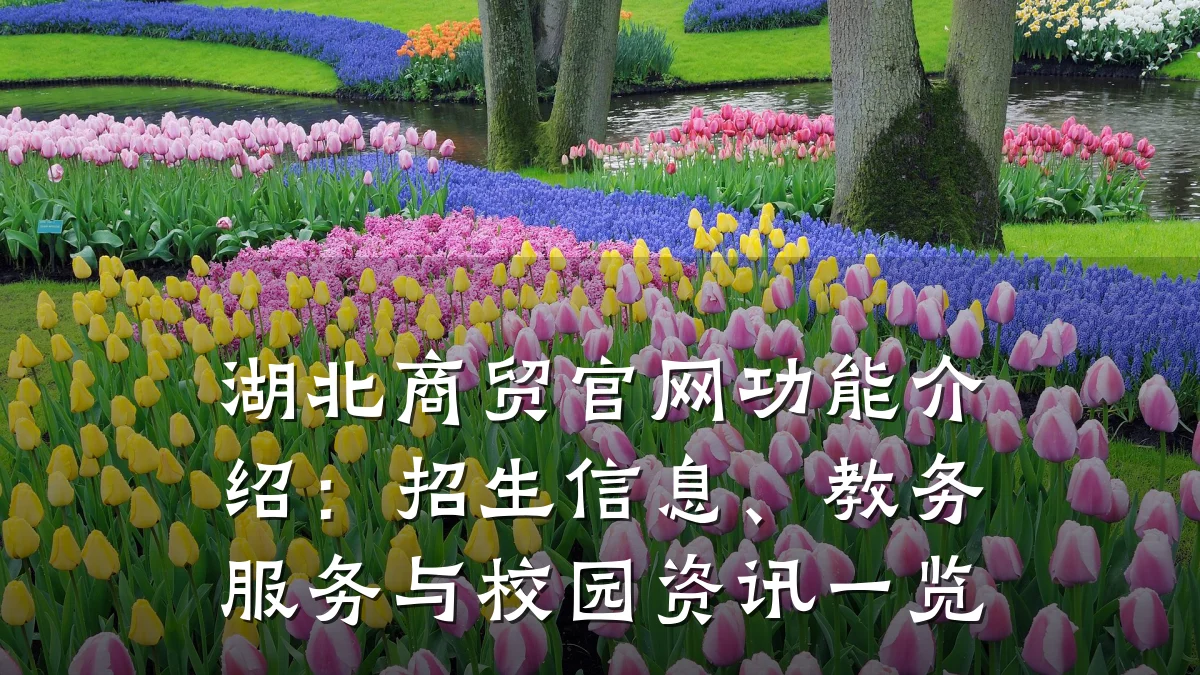湖北商贸官网功能介绍:招生信息、教务服务与校园资讯一览