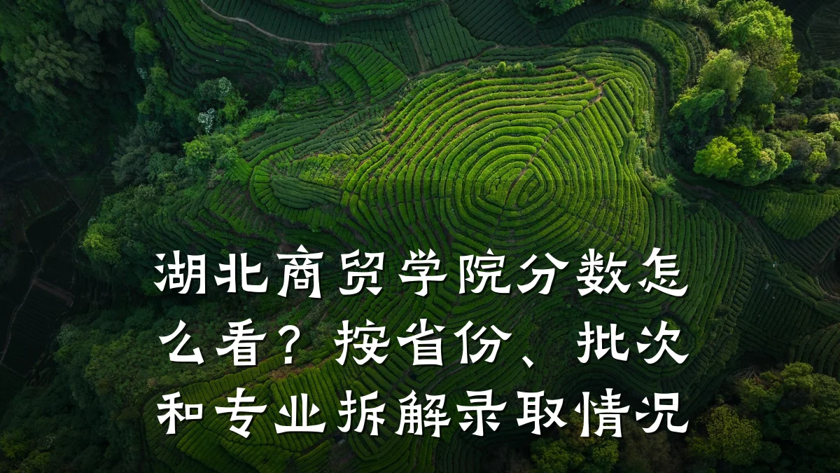湖北商贸学院分数怎么看？按省份、批次和专业拆解录取情况