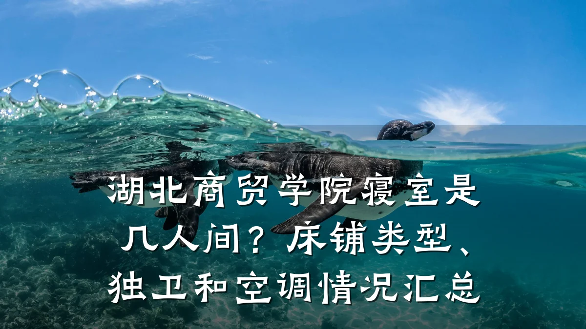 湖北商贸学院寝室是几人间?床铺类型、独卫和空调情况汇总