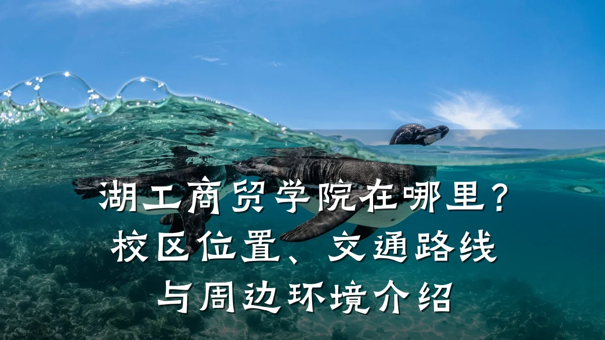 湖工商贸学院在哪里?校区位置、交通路线与周边环境介绍