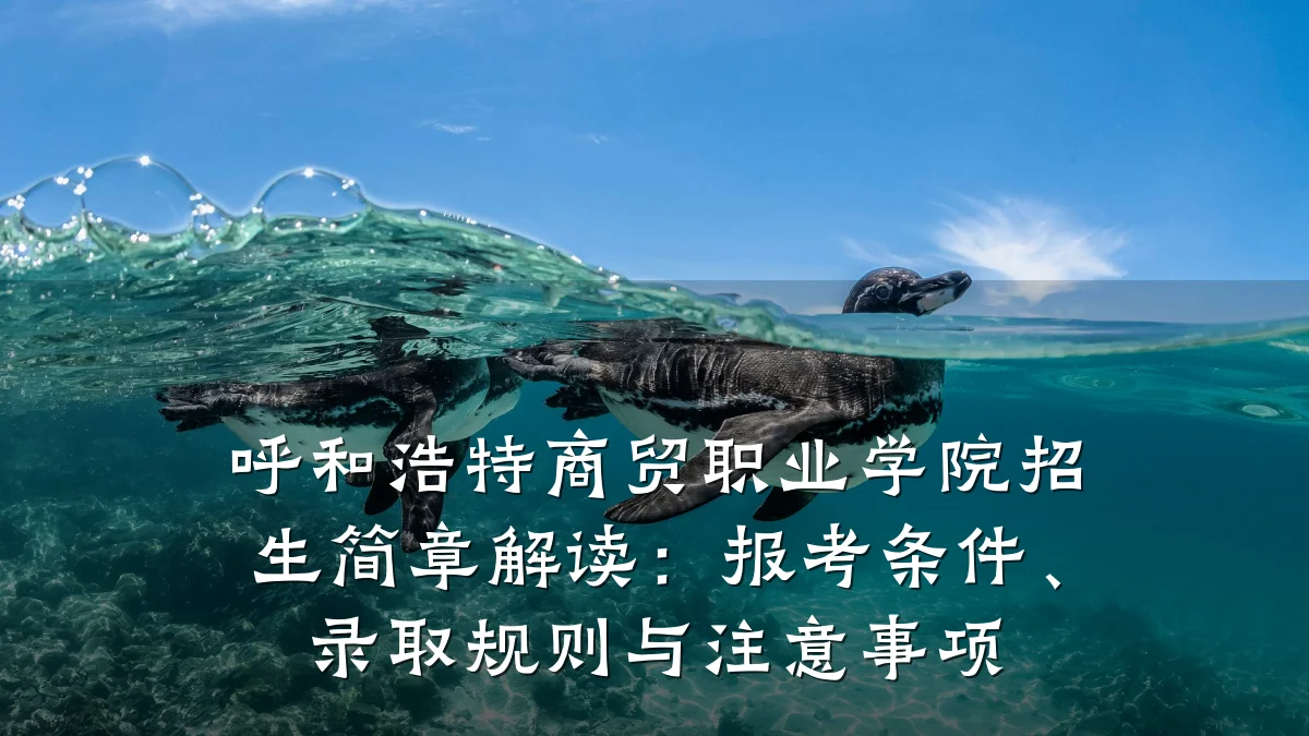 呼和浩特商贸职业学院招生简章解读：报考条件、录取规则与注意事项