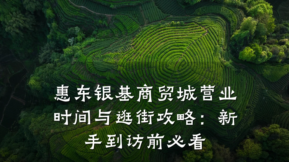 惠东银基商贸城营业时间与逛街攻略:新手到访前必看