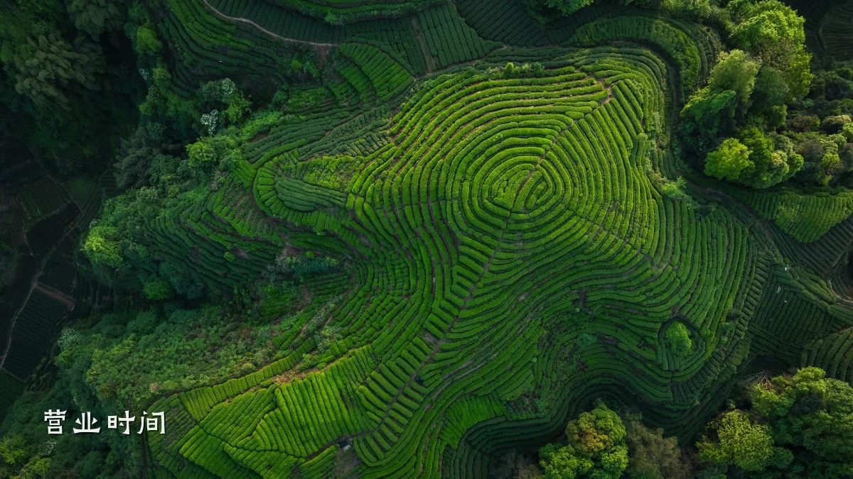 营业时间
