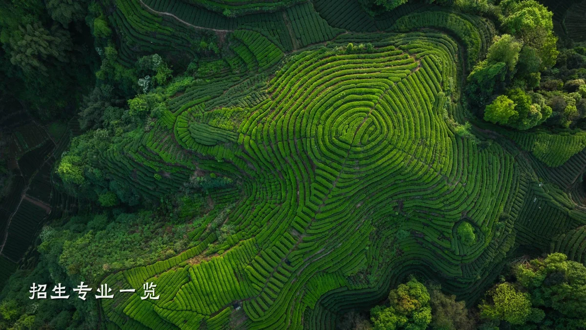 招生专业一览