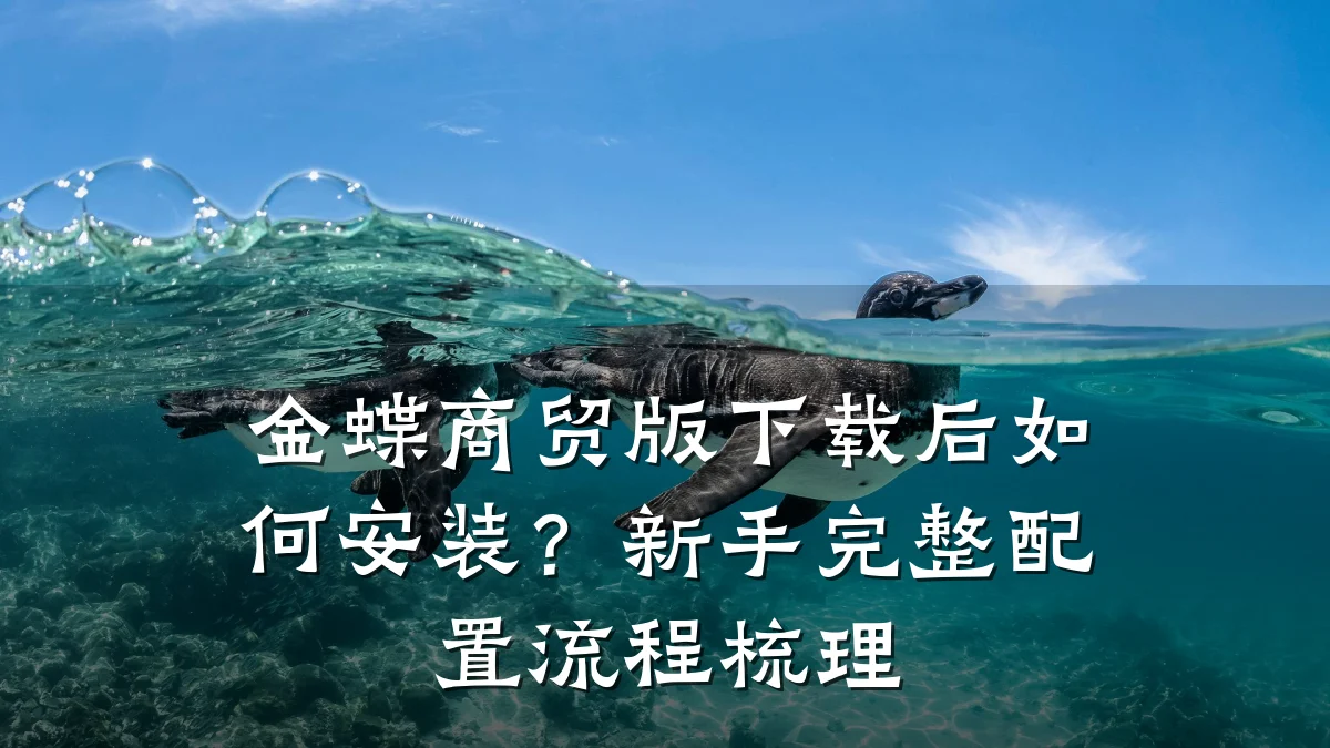 金蝶商贸版下载后如何安装?新手完整配置流程梳理