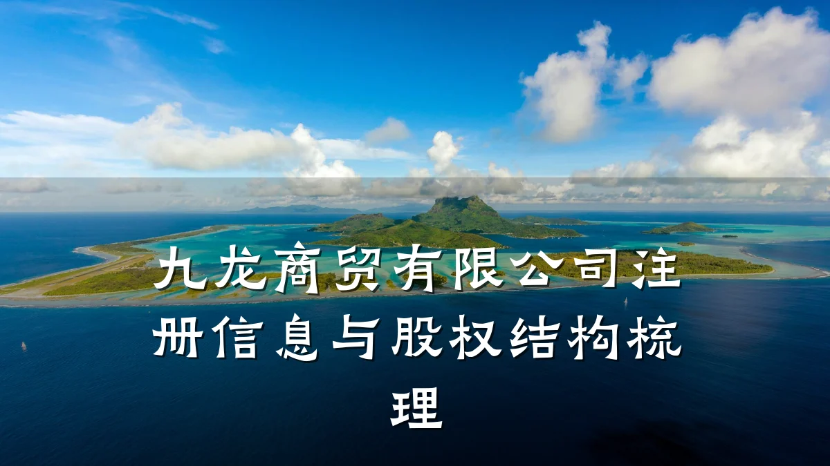 九龙商贸有限公司注册信息与股权结构梳理