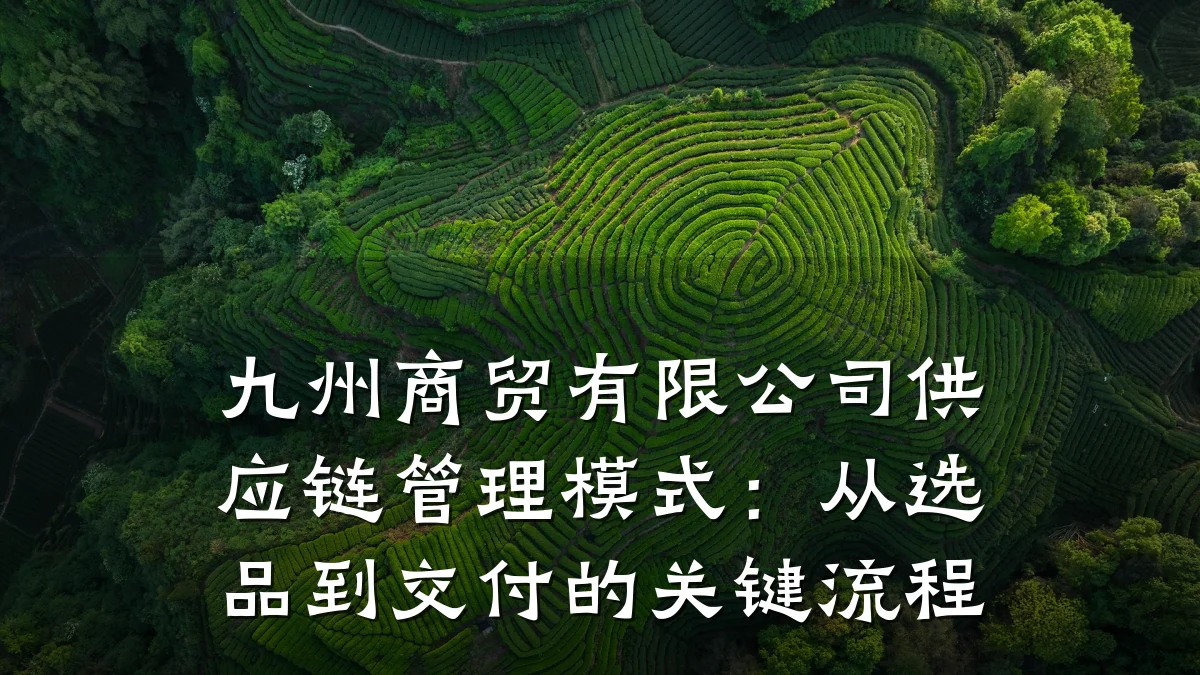 九州商贸有限公司供应链管理模式:从选品到交付的关键流程