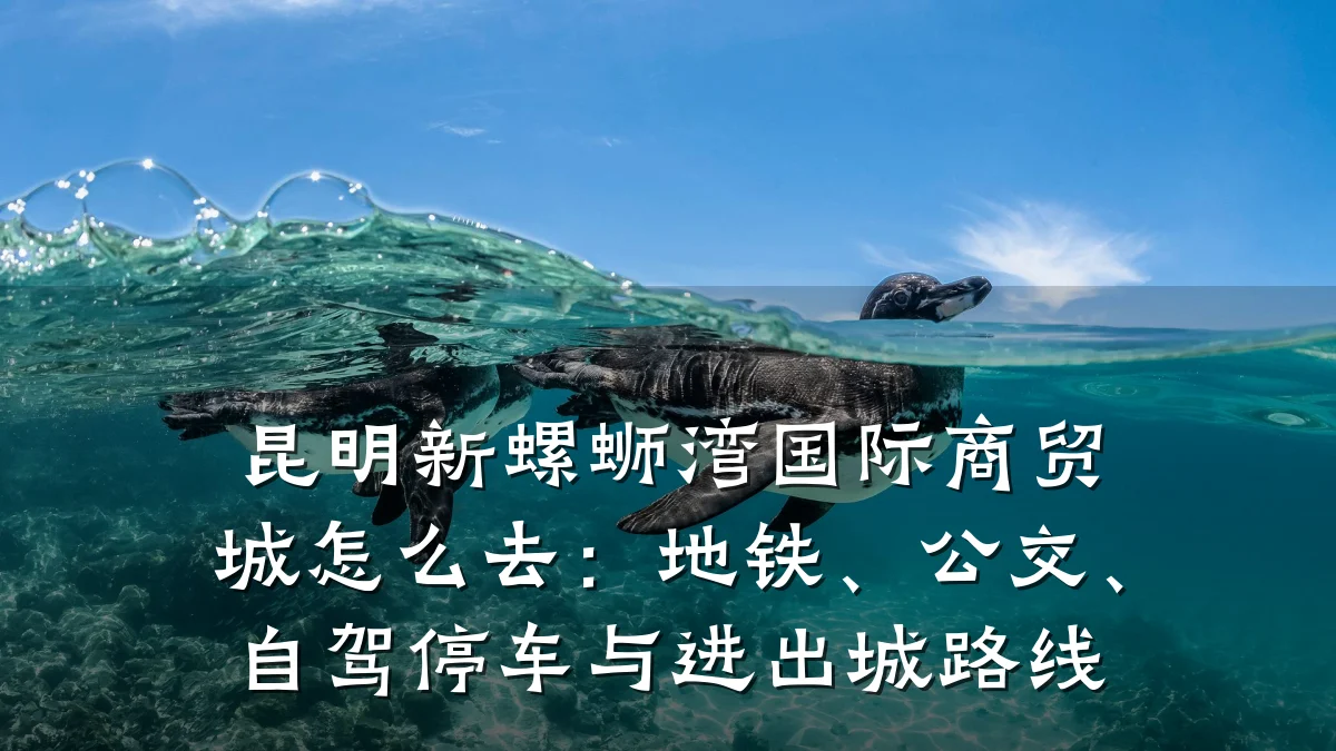 昆明新螺蛳湾国际商贸城怎么去：地铁、公交、自驾停车与进出城路线