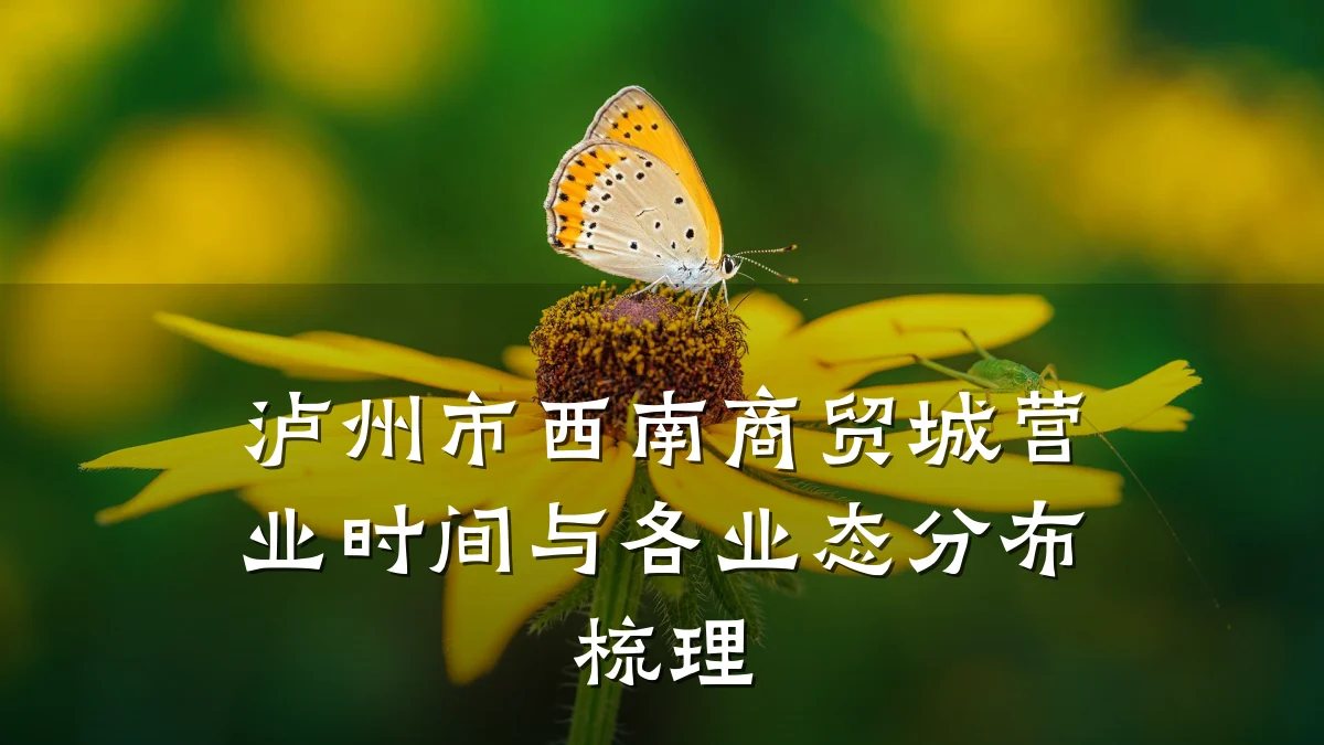 泸州市西南商贸城营业时间与各业态分布梳理