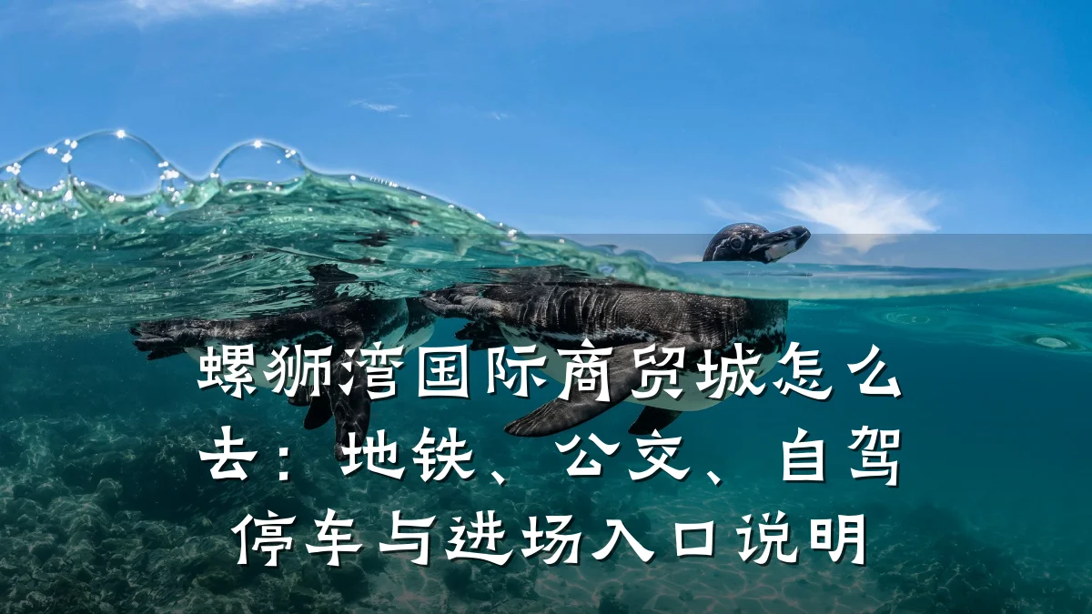 螺狮湾国际商贸城怎么去：地铁、公交、自驾停车与进场入口说明