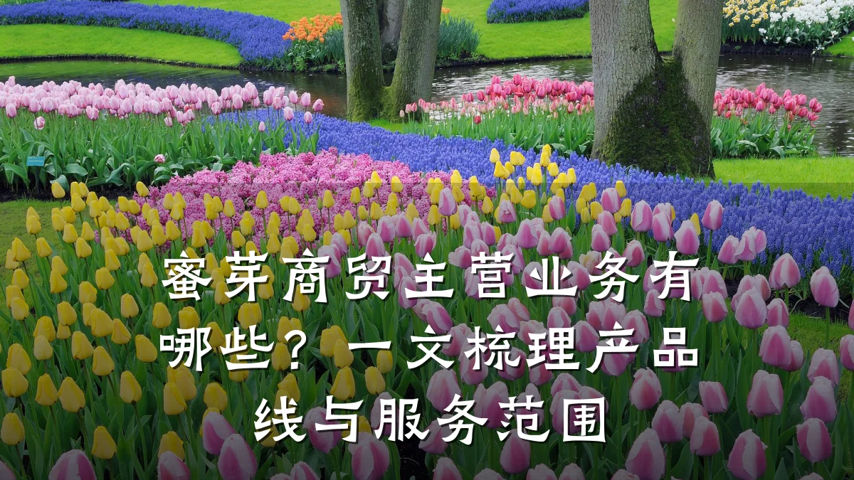 蜜芽商贸主营业务有哪些？一文梳理产品线与服务范围