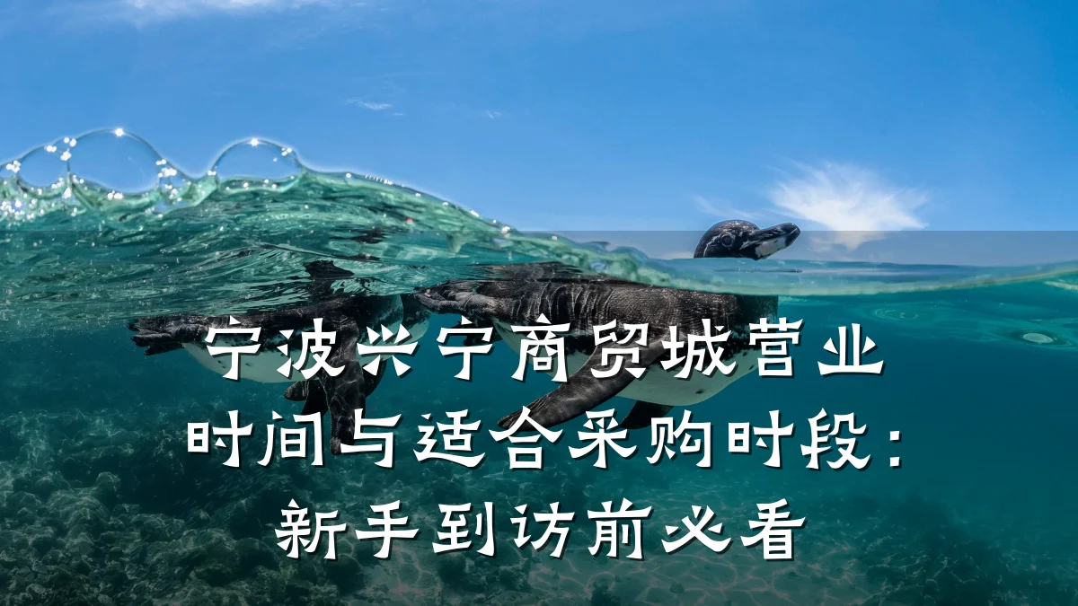 宁波兴宁商贸城营业时间与适合采购时段：新手到访前必看
