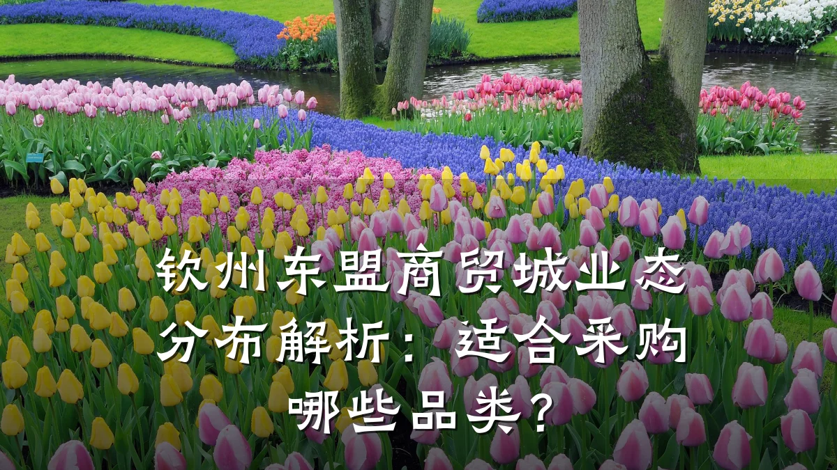 钦州东盟商贸城业态分布解析：适合采购哪些品类？