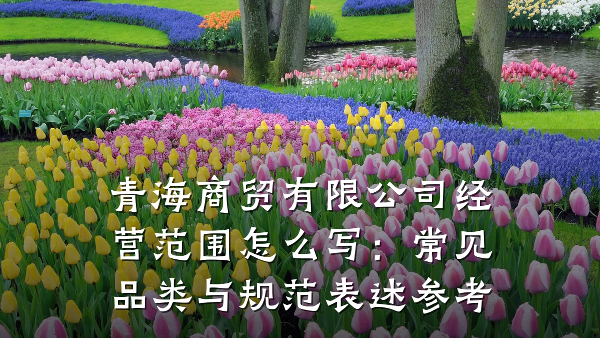 青海商贸有限公司经营范围怎么写：常见品类与规范表述参考