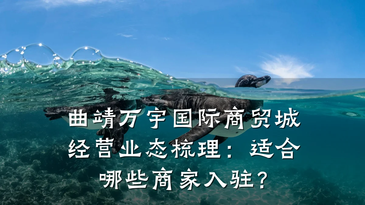 曲靖万宇国际商贸城经营业态梳理：适合哪些商家入驻？