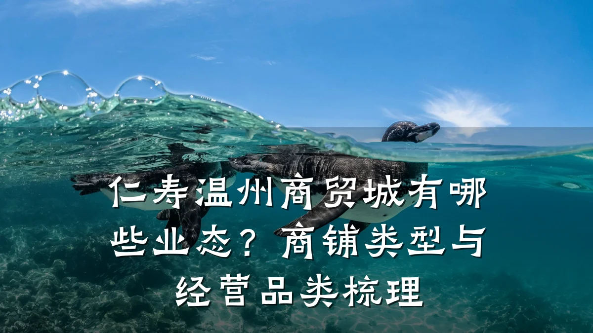 仁寿温州商贸城有哪些业态?商铺类型与经营品类梳理