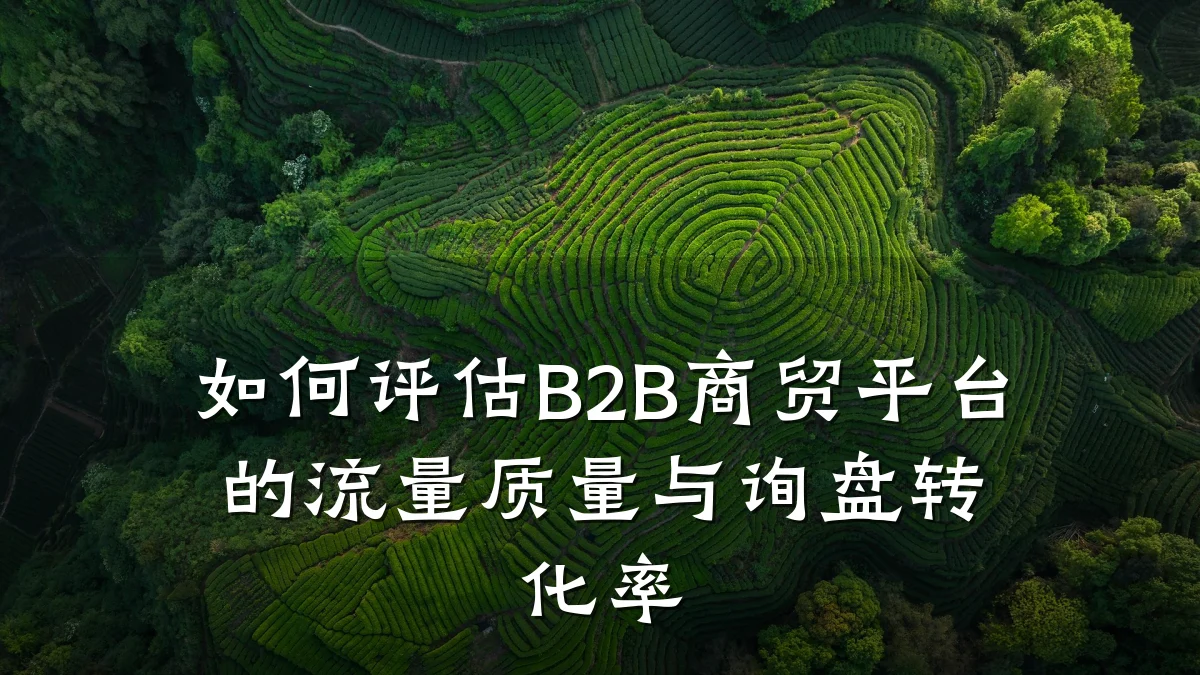 如何评估B2B商贸平台的流量质量与询盘转化率
