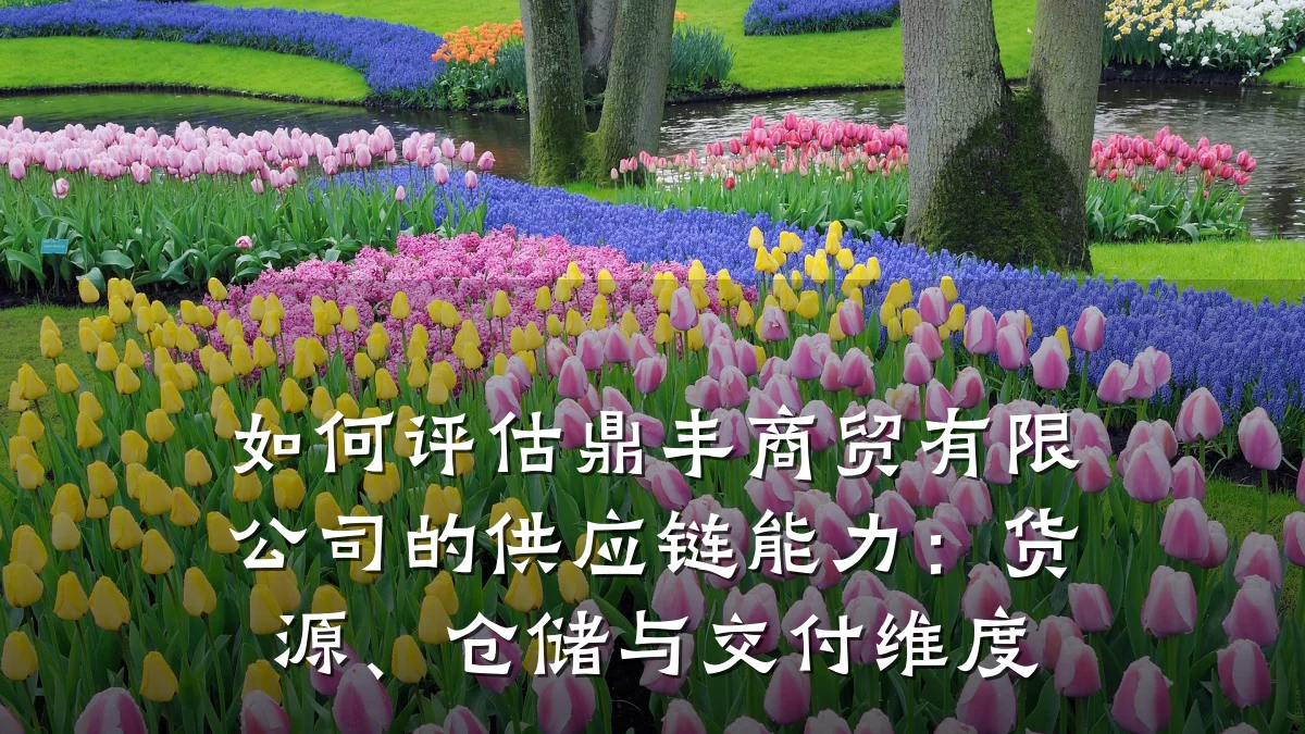 如何评估鼎丰商贸有限公司的供应链能力:货源、仓储与交付维度
