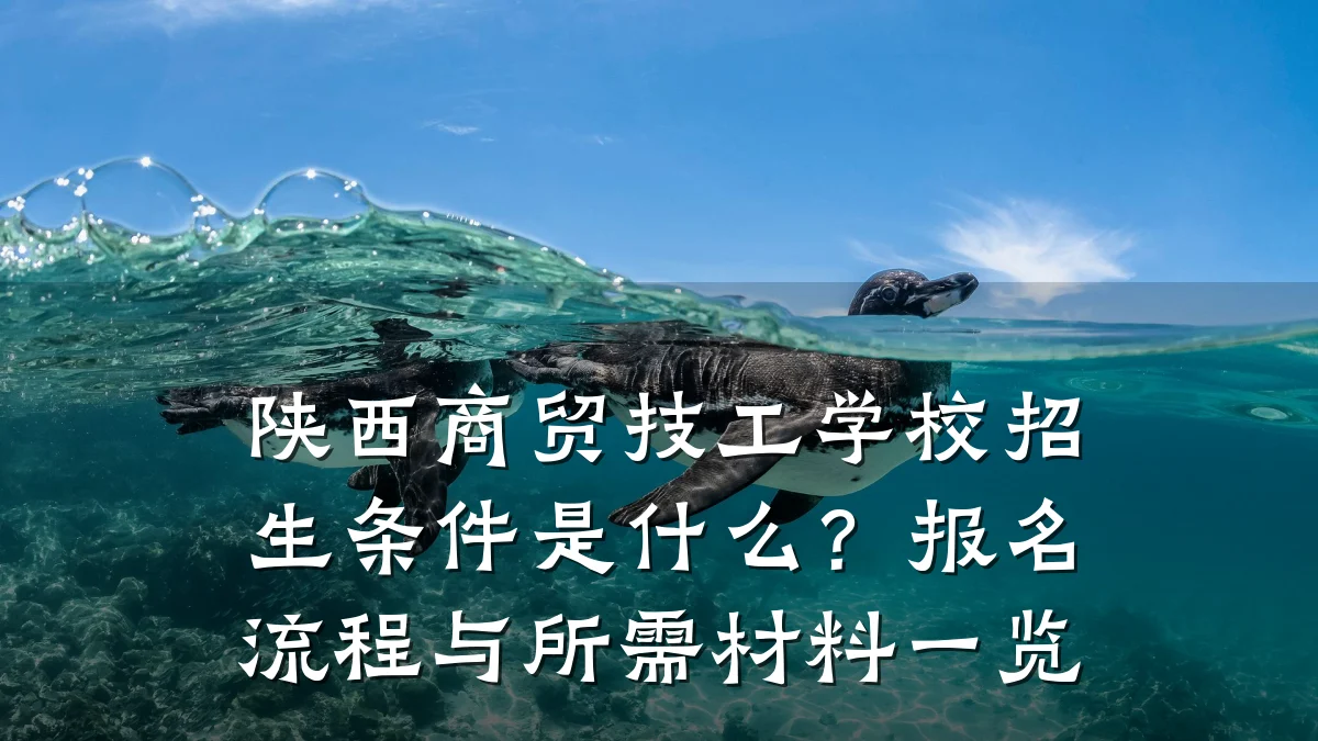 陕西商贸技工学校招生条件是什么?报名流程与所需材料一览
