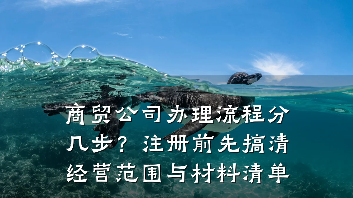 商贸公司办理流程分几步?注册前先搞清经营范围与材料清单
