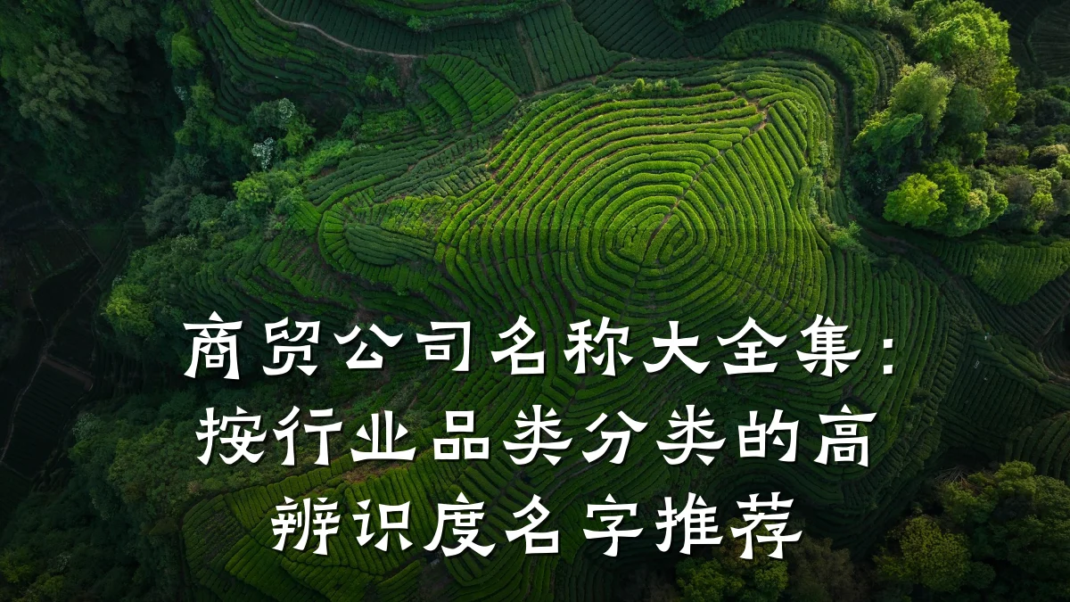 商贸公司名称大全集:按行业品类分类的高辨识度名字推荐