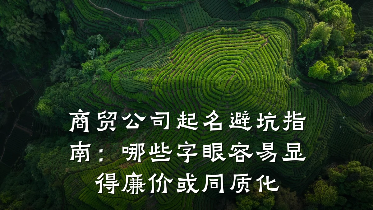 商贸公司起名避坑指南：哪些字眼容易显得廉价或同质化