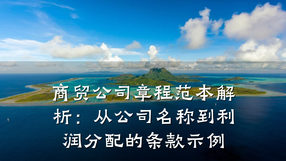 商贸公司章程范本解析:从公司名称到利润分配的条款示例