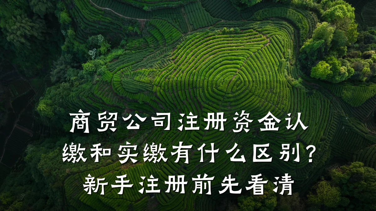 商贸公司注册资金认缴和实缴有什么区别?新手注册前先看清