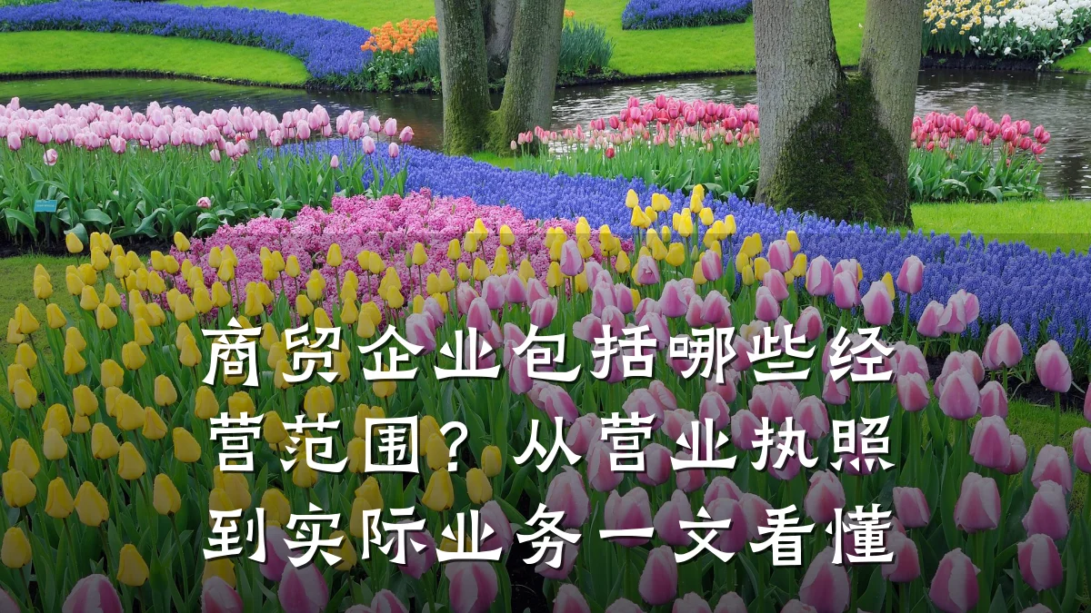 商贸企业包括哪些经营范围？从营业执照到实际业务一文看懂