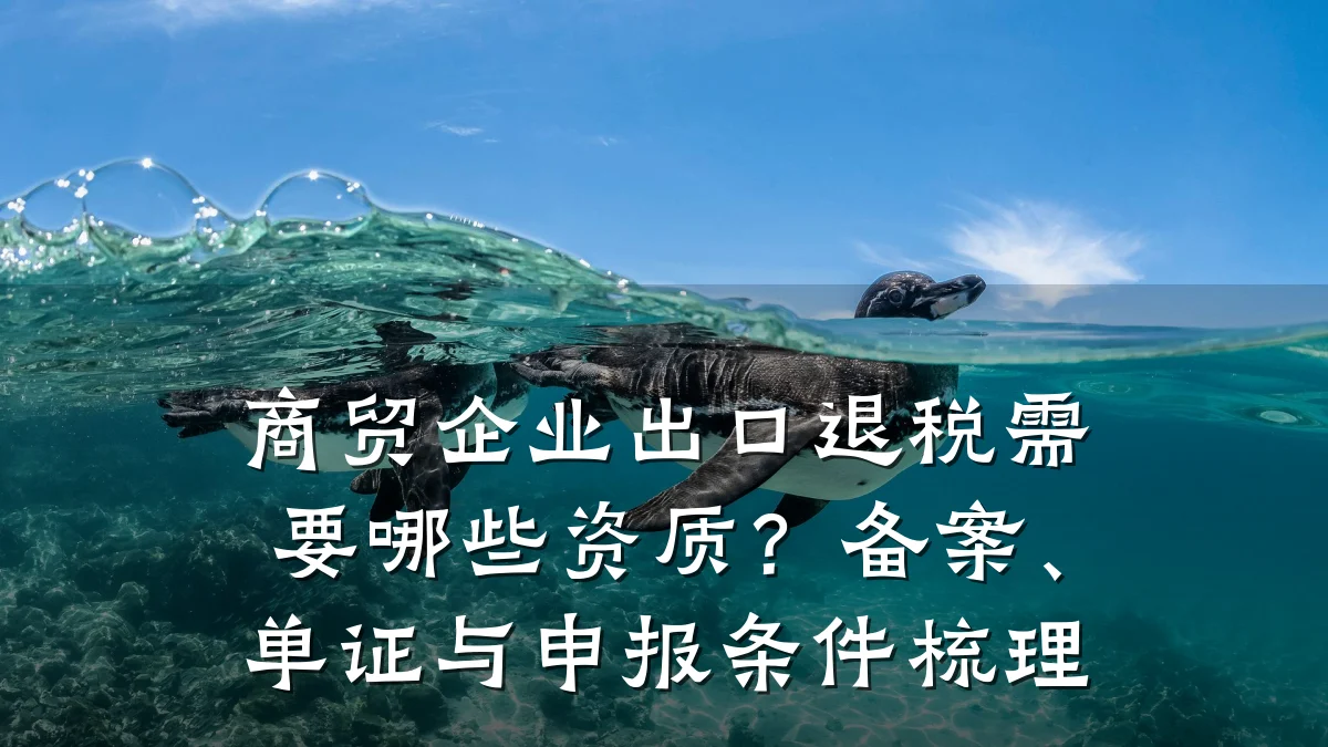 商贸企业出口退税需要哪些资质?备案、单证与申报条件梳理