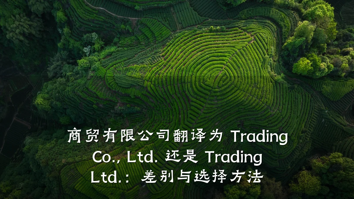 商贸有限公司翻译为 Trading Co., Ltd. 还是 Trading Ltd.：差别与选择方法