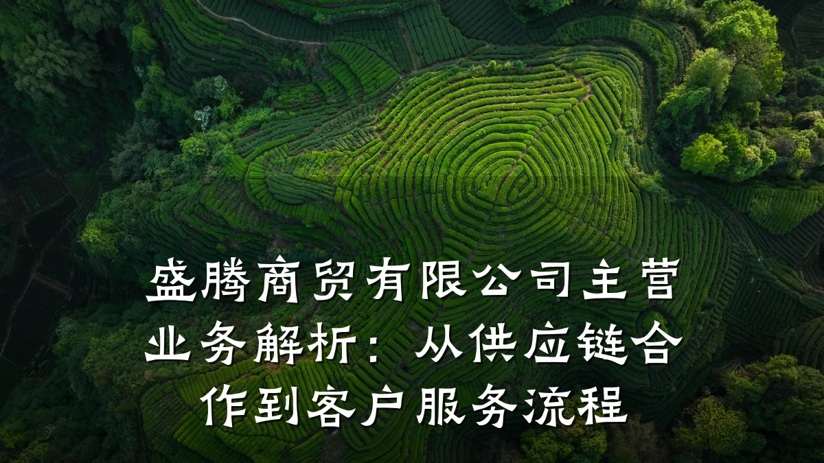 盛腾商贸有限公司主营业务解析:从供应链合作到客户服务流程