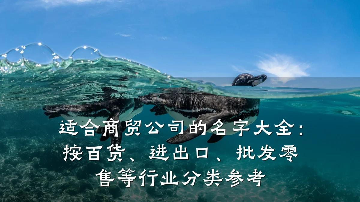 适合商贸公司的名字大全:按百货、进出口、批发零售等行业分类参考