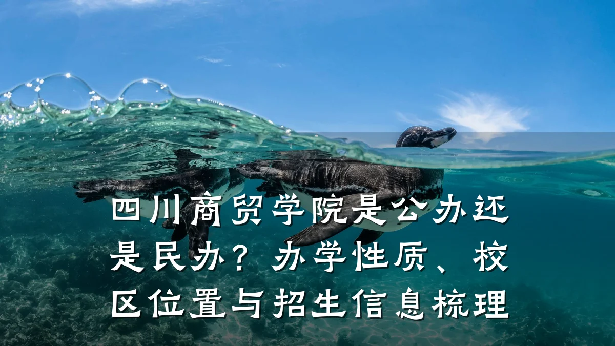 四川商贸学院是公办还是民办?办学性质、校区位置与招生信息梳理