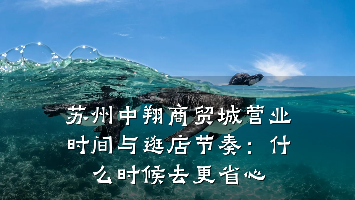 苏州中翔商贸城营业时间与逛店节奏：什么时候去更省心