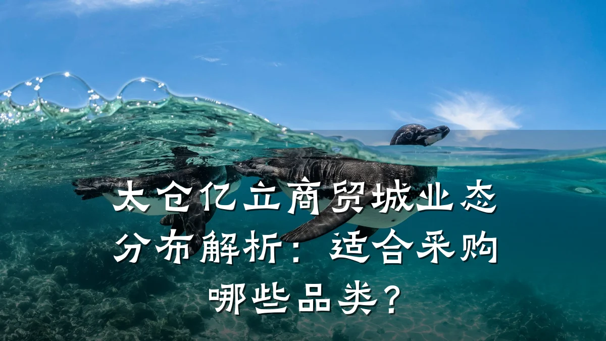 太仓亿立商贸城业态分布解析:适合采购哪些品类?