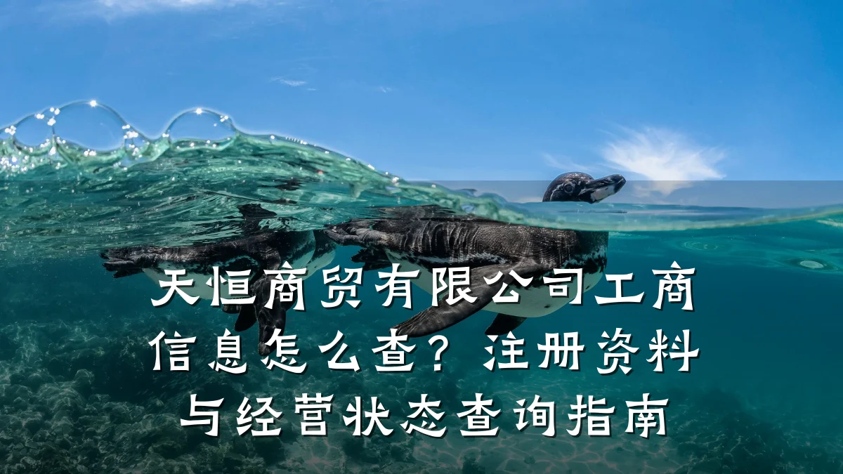 天恒商贸有限公司工商信息怎么查?注册资料与经营状态查询指南