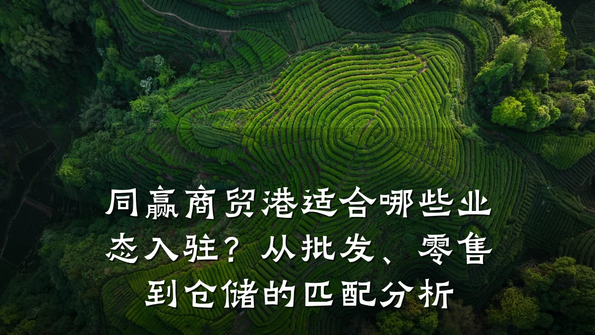 同赢商贸港适合哪些业态入驻?从批发、零售到仓储的匹配分析